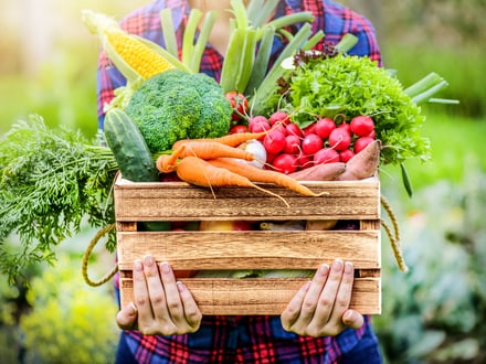 Foto mit einer Person, die man nicht vollständig sieht und einen Korb mit verschiedenen Gemüsen trägt
