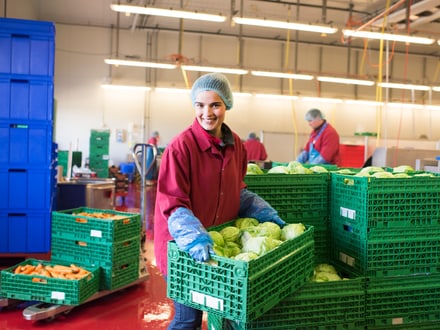 Arbeiterin im Gemüsegrosshandel, die eine Kiste mit Salatköpfen hält.