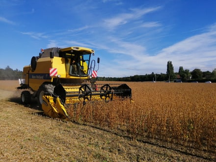 Gelbe Mähdrescher arbeitet im Feld unter wolkigem Himmel.