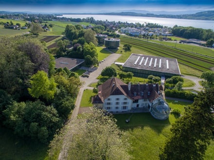 Luftaufnahme eines Landhauses und einer grünen Landschaft mit einem See im Hintergrund.