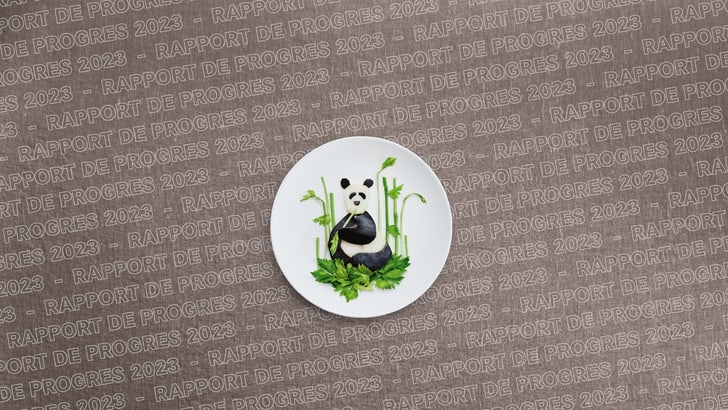 Assiette avec design de panda sur fond avec texte 'Rapport de Progrès 2023'.