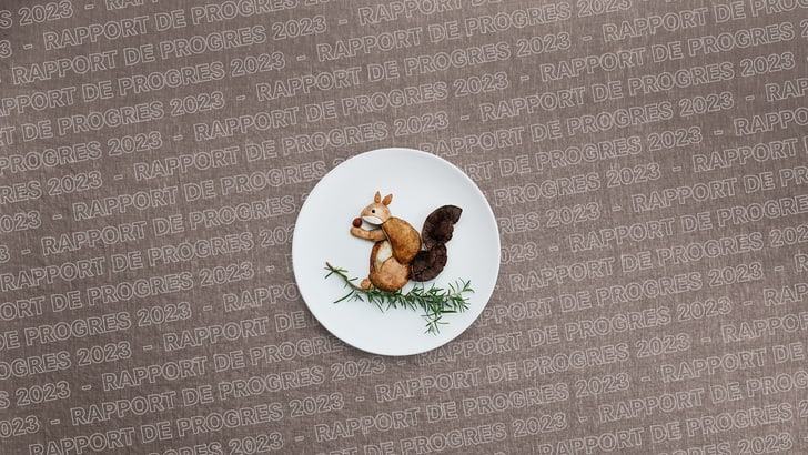 Figurine d'écureuil sur une assiette blanche sur fond de texte 'Rapport de Progrès 2023'.