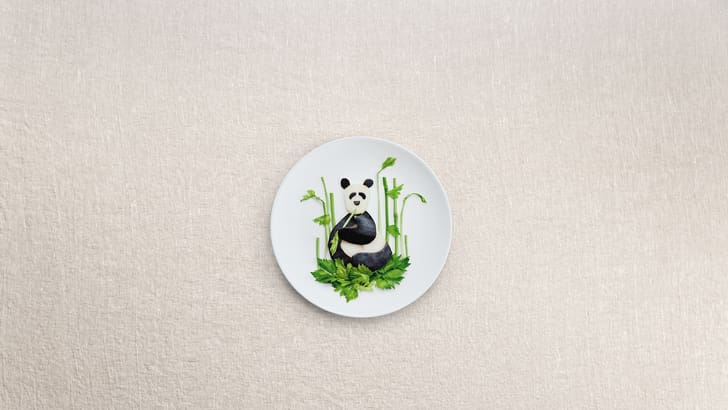 Webbanner Panda Nachhaltigkeit