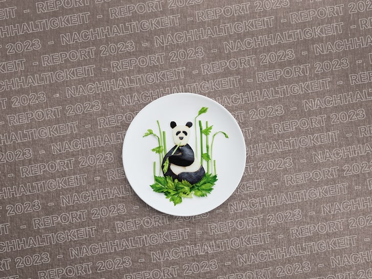 Nachhaltigkeit Banner Panda
