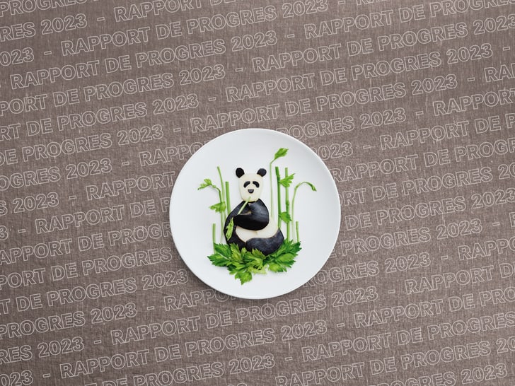 Assiette avec design de panda sur fond avec texte 'Rapport de Progrès 2023'.