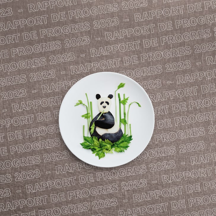 Assiette avec design de panda sur fond avec texte 'Rapport de Progrès 2023'.