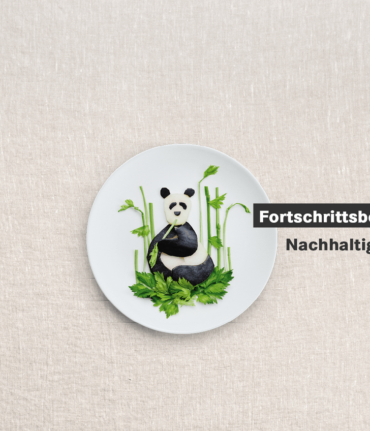 Panda aus Gemüse auf Teller, Fortschrittsbericht Nachhaltigkeit 2024.