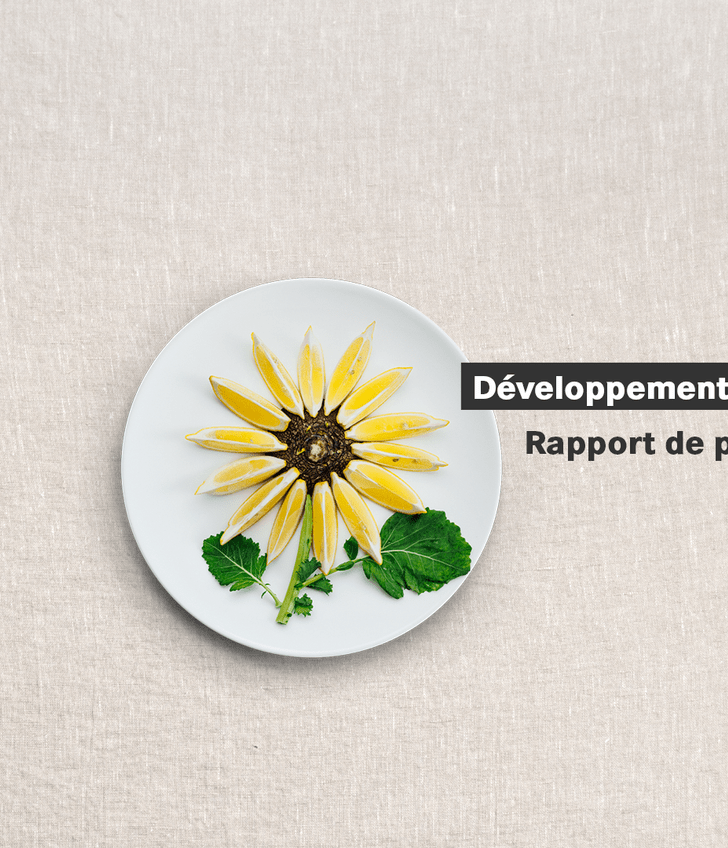 Assiette avec motif de tournesol, texte 'Développement durable, Rapport de progrès 2024'.