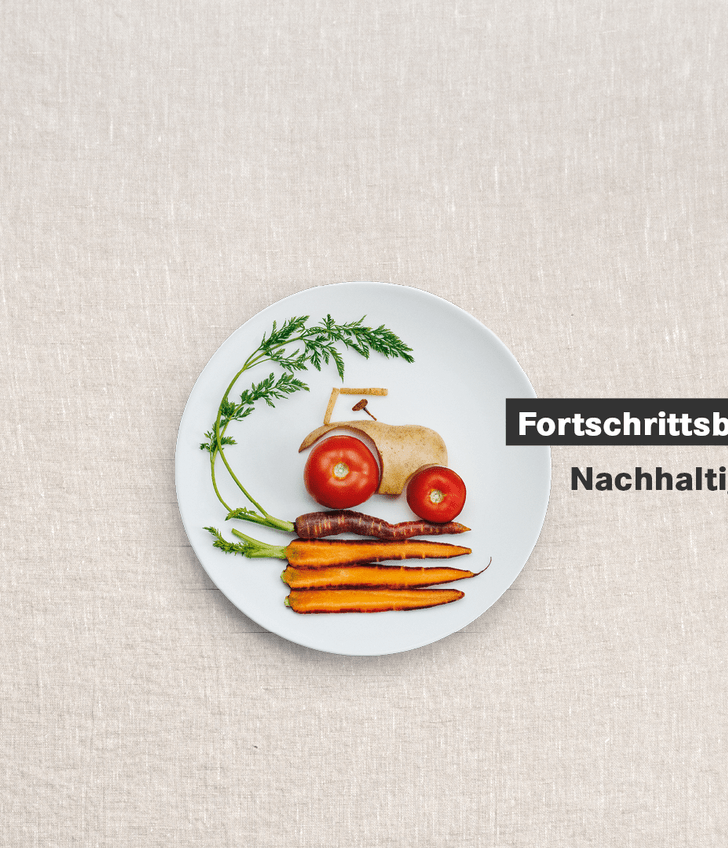 Teller mit Gemüse, Fortschrittsbericht Nachhaltigkeit 2024.