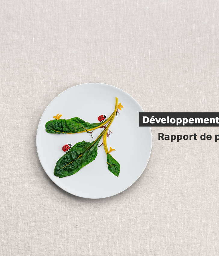 Assiette blanche avec feuilles et coccinelles sur fond beige, texte