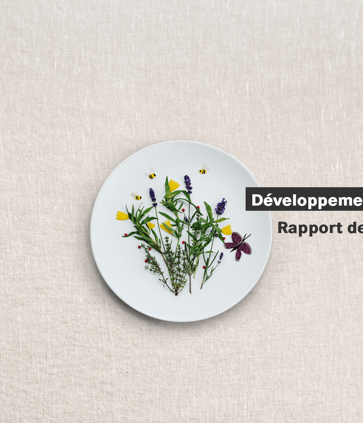 Assiette avec illustration de fleurs et texte 'Développement durable, Rapport de progrès 2024'.