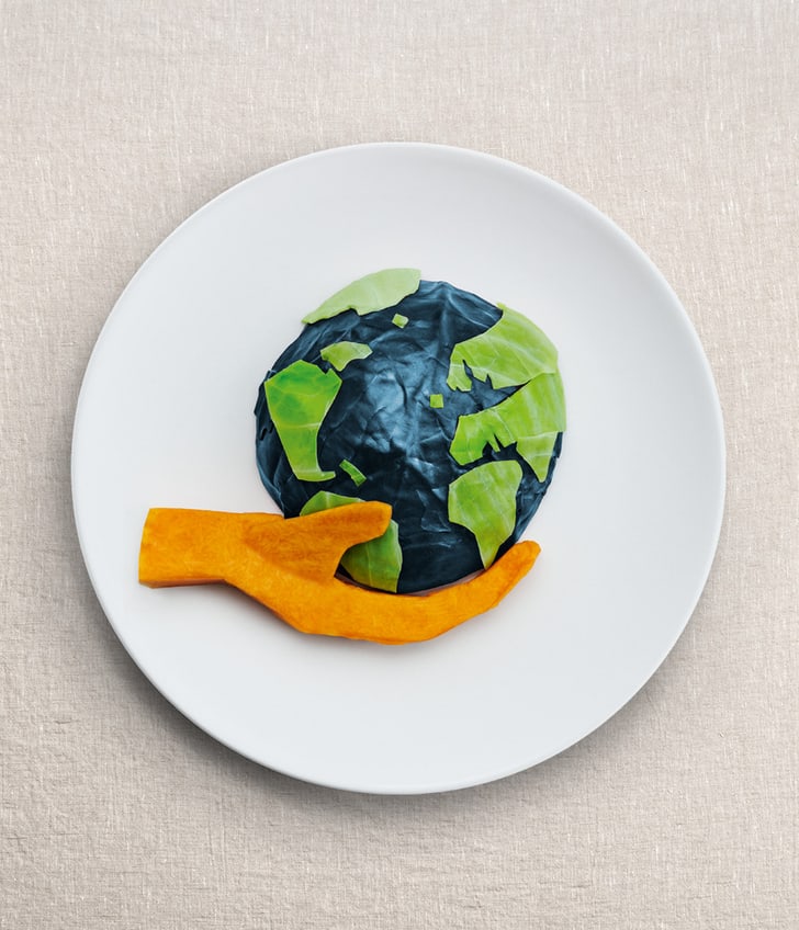 Teller mit Lebensmittel darauf die eine Hand und ein Erdkugel zeigen. Sujet für Nachhaltigkeitskampagne Planetary Health Diet