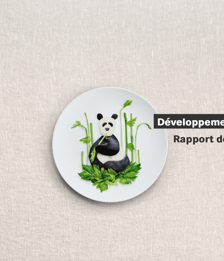 Panda sur assiette, texte 'Développement durable Rapport de progrès 2024'.