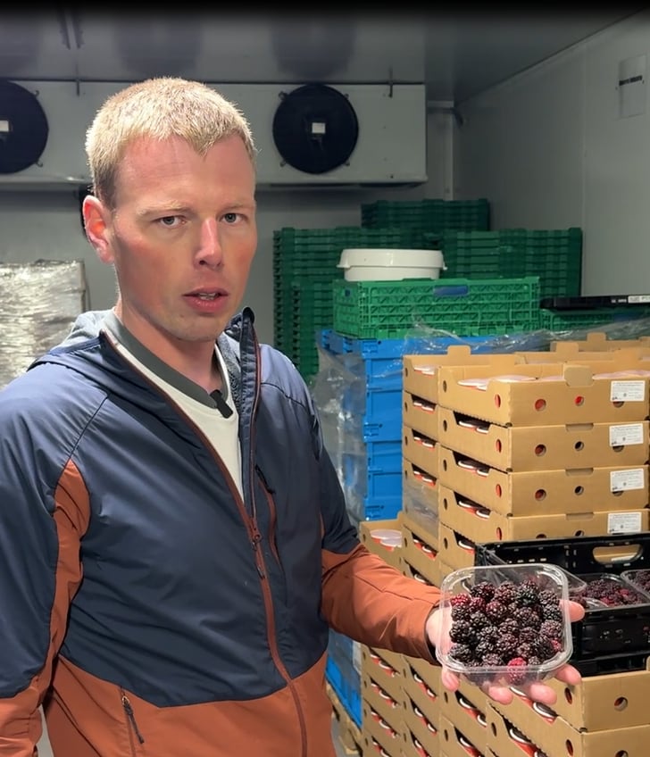 Person mit brauner Jacke hält Behälter mit Beeren in einem Lagerraum.