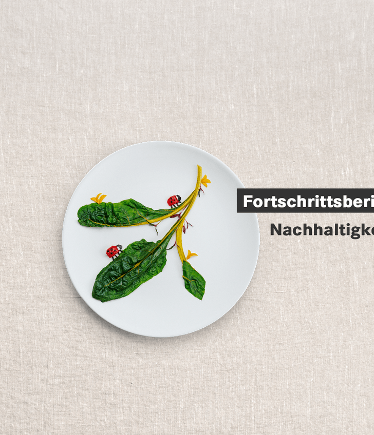 Teller mit Gemüse, Fortschrittsbericht Nachhaltigkeit 2024.