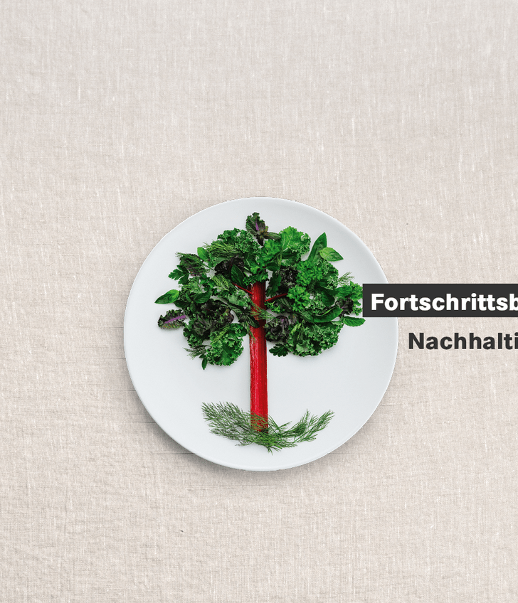 Teller mit Baum aus Gemüse, Text Fortschrittsbericht Nachhaltigkeit 2024.
