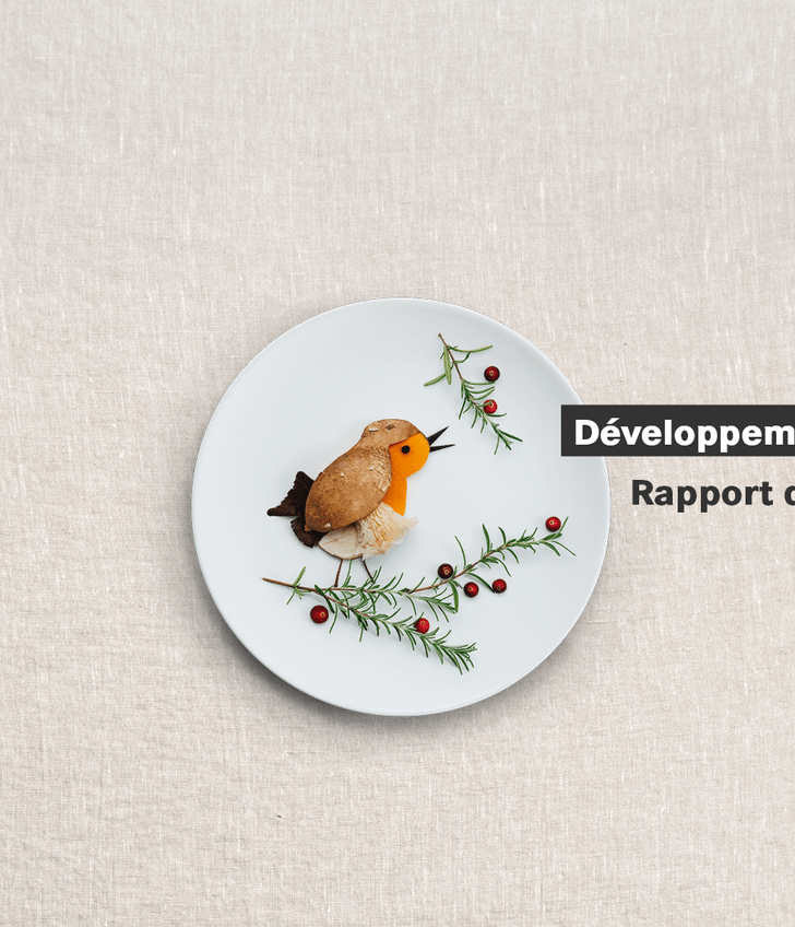 Assiette avec oiseau et baies sur fond clair, texte