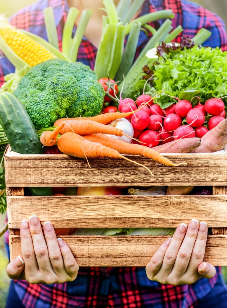 Foto mit einer Person, die man nicht vollständig sieht und einen Korb mit verschiedenen Gemüsen trägt
