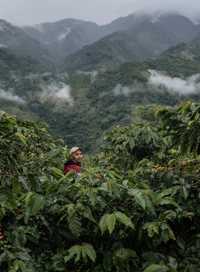 Fairtrade Max Havelaar Kaffeebauer