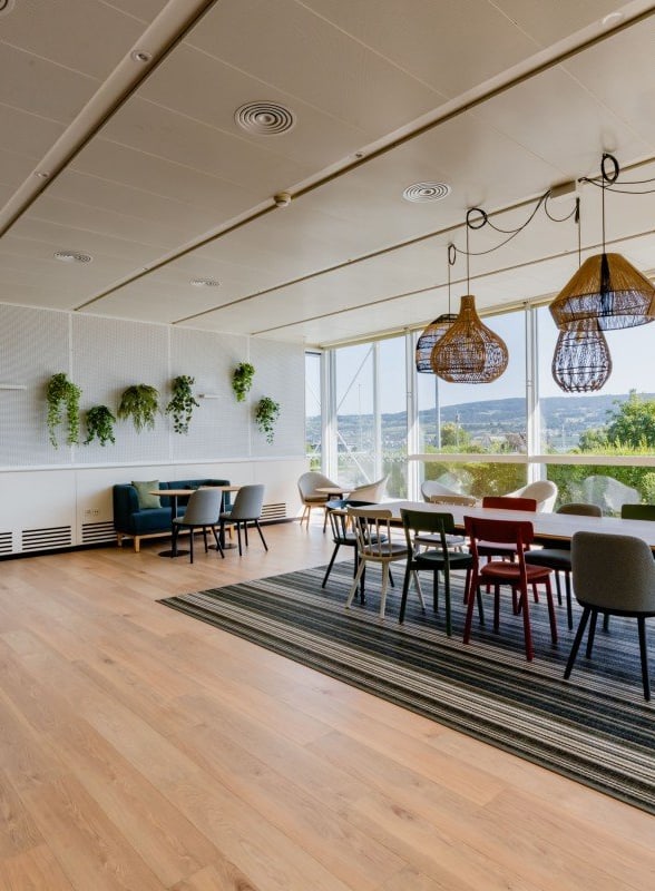 Heller Besprechungsraum mit Pflanzen und Korblampen.