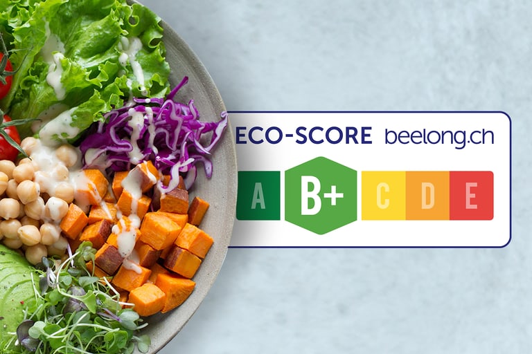 Poster mit einem Teller darauf der Salat und Gemüse zeigt. Ausserdem die Eco-Score Skala von A bis E  