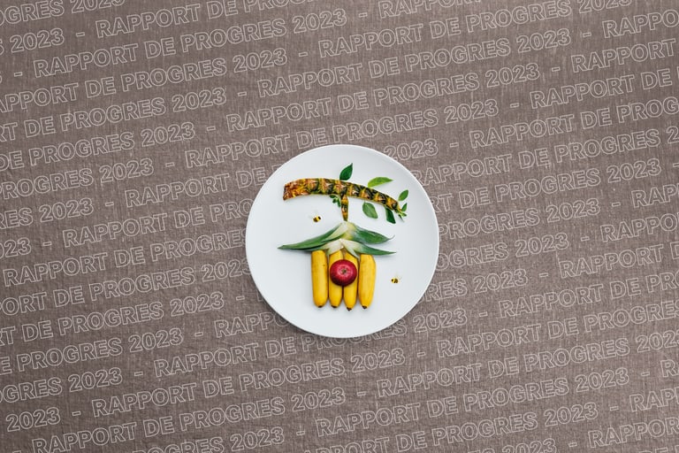 Présentation créative d'un plat en forme d'oiseau sur une assiette blanche, arrière-plan avec texte.