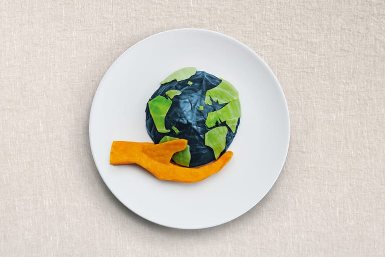 Weisse Teller mit Weltkartensalat auf sandfarbenem Hintergrund.