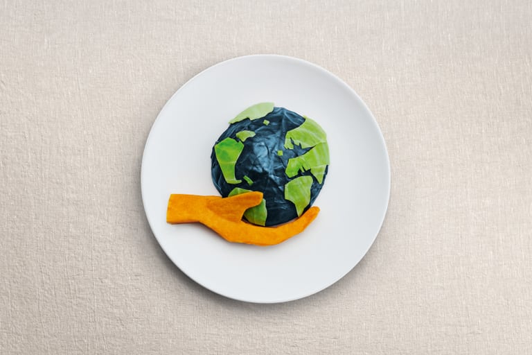 Teller mit Lebensmittel darauf die eine Hand und ein Erdkugel zeigen. Sujet für Nachhaltigkeitskampagne Planetary Health Diet