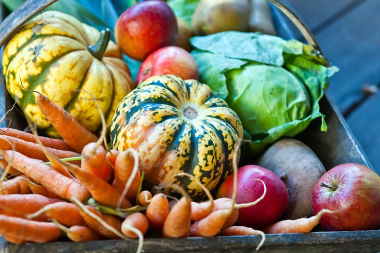 Verschiedenes Gemüse in einem Wagen. Karotten, Kürbis, Salat, Apfel 