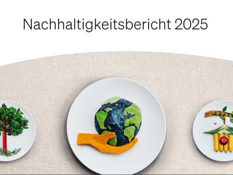 Teller mit Weltkugel-Motiv aus Gemüse, Nachhaltigkeitsbericht 2025.