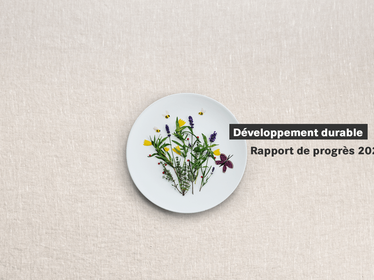 Assiette avec illustration de fleurs et texte 'Développement durable, Rapport de progrès 2024'.