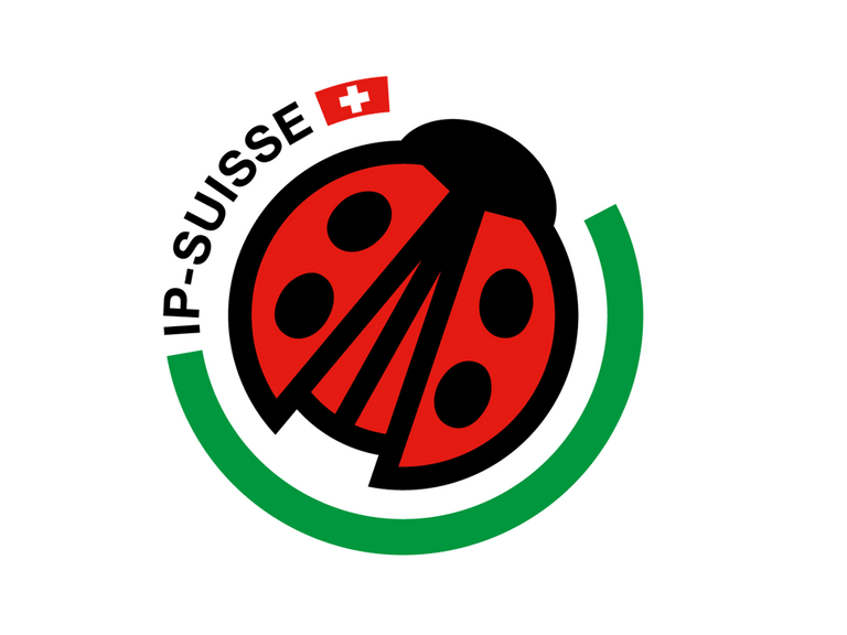 Logo coccinelle IP-SUISSE avec drapeau suisse.",