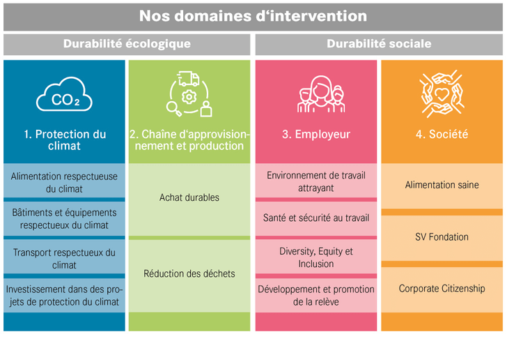 Infographie de nos domaines d'intervention en durabilité écologique et sociale.