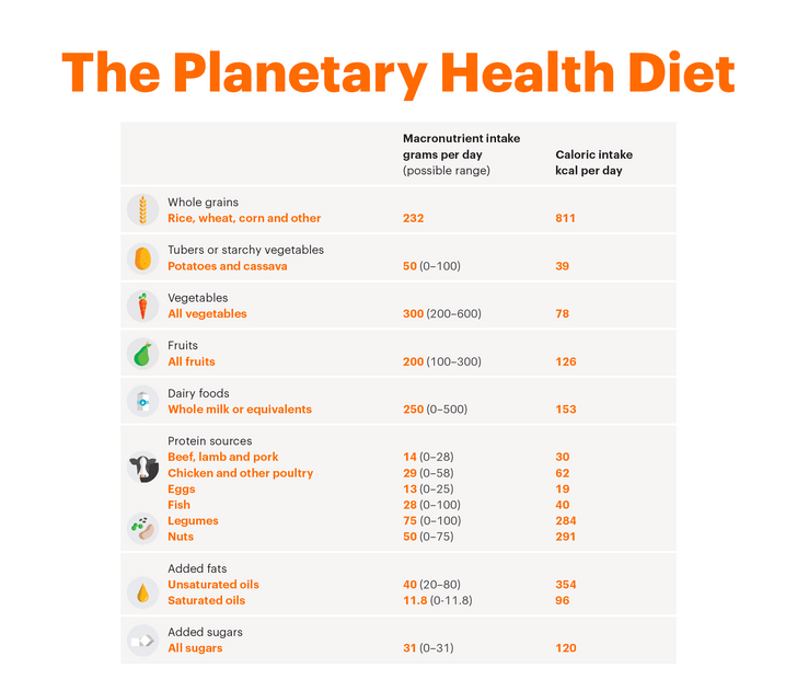 Grafik der Planetary Health Diet, der anzeigt, welche Mengen man essen sollte. 