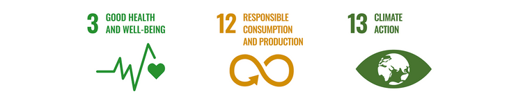 Icons der UN-Nachhaltigkeitsziele für Gesundheit, Konsum und Klimaschutz.